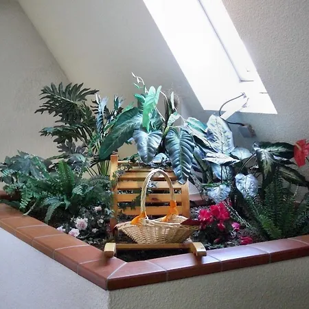 מלון Zum Lowen 3*