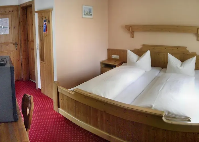 狮子酒店 酒店 Steinenbronn