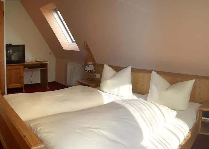 狮子酒店 Steinenbronn