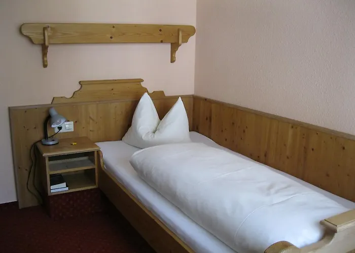 狮子酒店 酒店 Steinenbronn